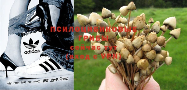 бутик Аркадак
