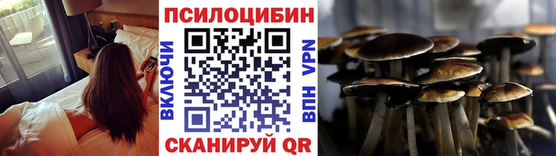 наркотики  Ленинск-Кузнецкий  Псилоцибиновые грибы ЛСД 