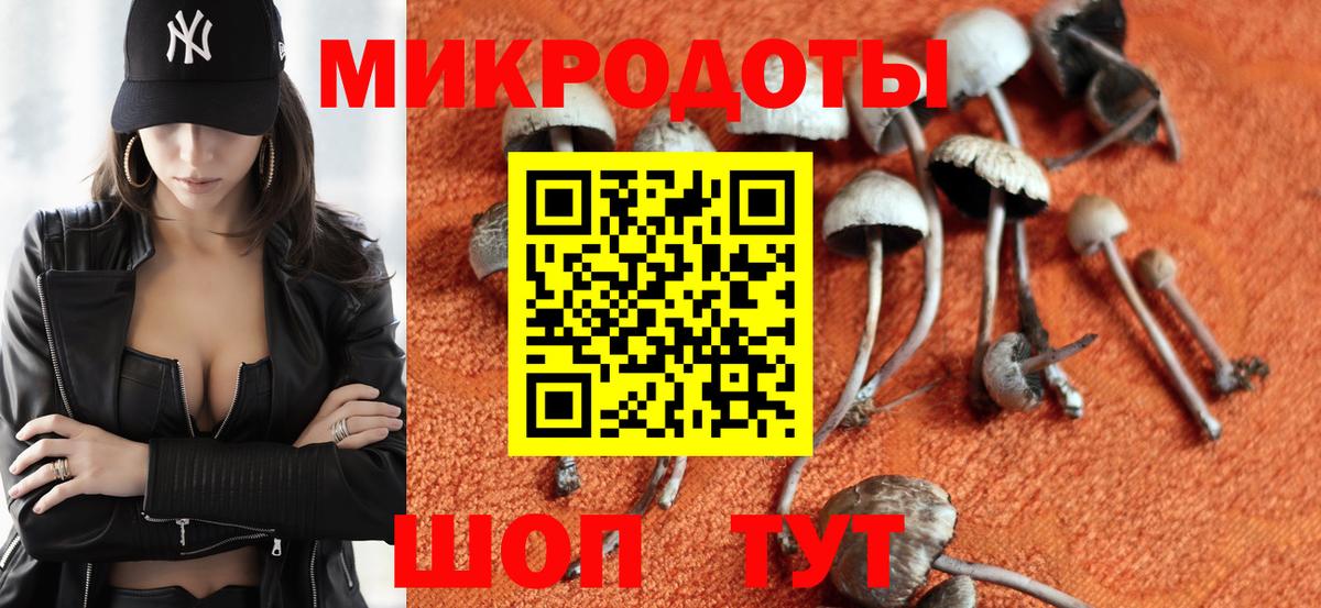 Ленинск-Кузнецкий  Псилоцибиновые грибы GOLDEN TEACHER  Вход с VPN 