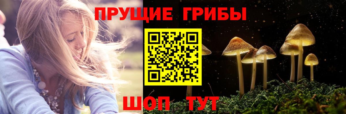 Мефедрон  Ленинск-Кузнецкий  Вход с VPN  Бошки Шишки  Сколько стоит  Cocaine  Alpha-PVP  Гарик  Мяу-Мяу 